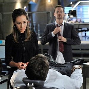 Bilder Nikita (2010)