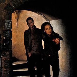 Bilder Nikita (2010)