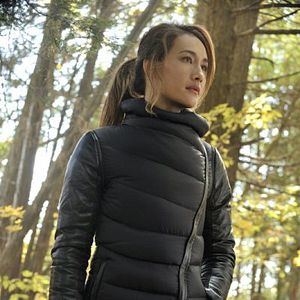 Bilder Nikita (2010)