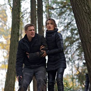 Bilder Nikita (2010)