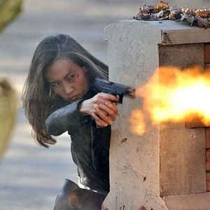 Bilder Nikita (2010)