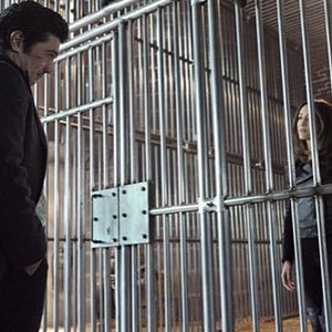 Bilder Nikita (2010)