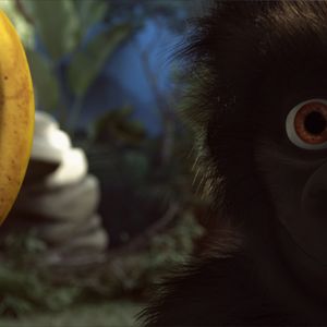 Bilder Flöckchen - Die großen Abenteuer des kleinen weißen Gorillas!