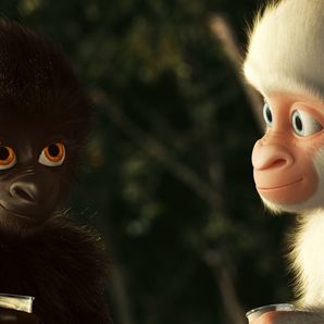 Bilder Flöckchen - Die großen Abenteuer des kleinen weißen Gorillas!