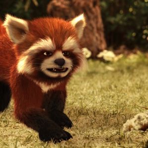 Bilder Flöckchen - Die großen Abenteuer des kleinen weißen Gorillas!