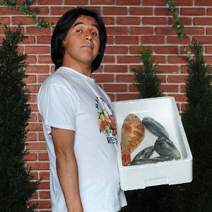 Bilder Carlos Alcalde