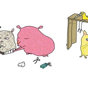 Bilder Vem blöder ?