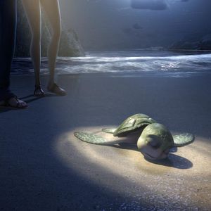 Bilder Sammys Abenteuer - Die Suche nach der geheimen Passage