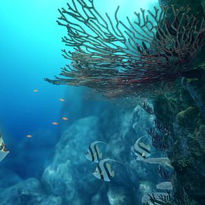 Bilder Sammys Abenteuer - Die Suche nach der geheimen Passage