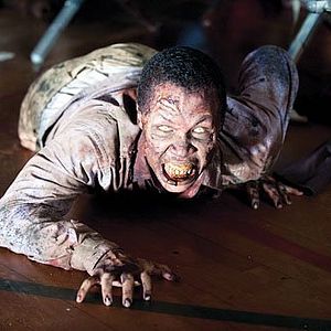 Bilder The Walking Dead