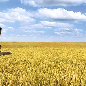 Bilder Arthur und die Minimoys 3