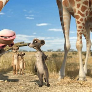 Bilder Konferenz der Tiere