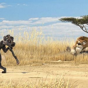 Bilder Konferenz der Tiere