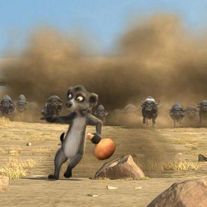 Bilder Konferenz der Tiere