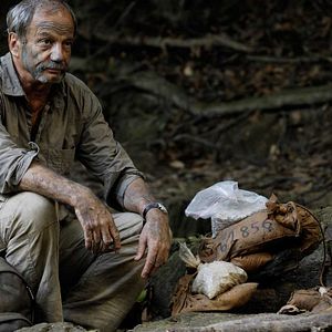 Bilder 600 Kilo pures Gold!