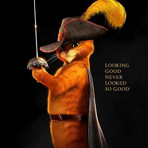 Bilder Der gestiefelte Kater