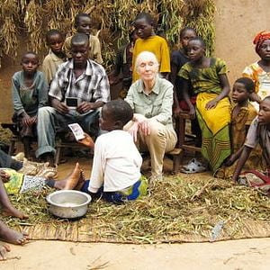 Bilder Jane's Journey - Die Lebensreise der Jane Goodall
