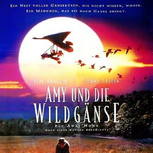 Bilder Amy und die Wildgänse