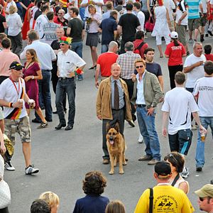 Bilder Kommissar Rex