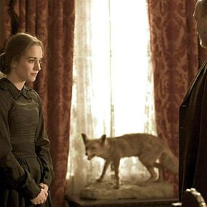 Bilder Tierra de Lobos