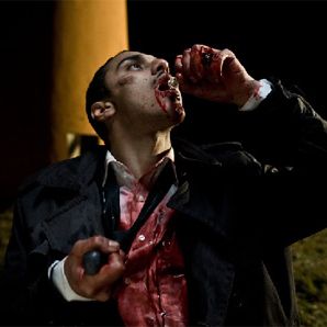 Bilder Reykjavik Whale Watching Massacre