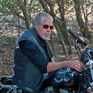 Bilder Ron Perlman