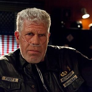 Bilder Ron Perlman