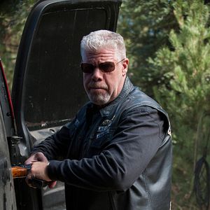 Bilder Ron Perlman