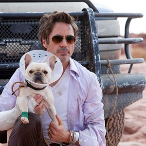 Bilder Robert Downey Jr.