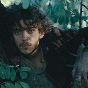 Bilder Deep in the Woods