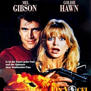 Bilder Ein Vogel auf dem Drahtseil