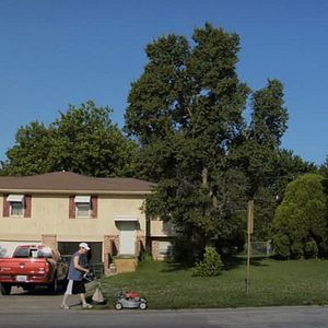 Bilder Alain Della Negra