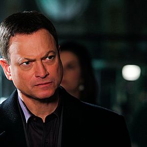 Bilder Gary Sinise