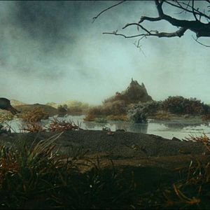 Bilder Gadkii Utenok