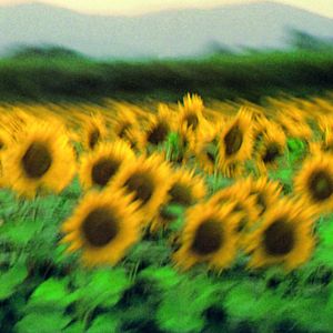 Bilder Gekaufte Wahrheit - Wissenschaft im Magnetfeld des Geldes