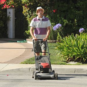 Bilder Cougar Town - 40 ist das neue 20