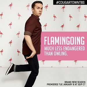 Bilder Cougar Town - 40 ist das neue 20