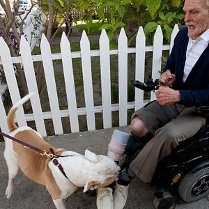 Bilder Jeff Tremaine