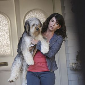 Bilder Lauren Graham