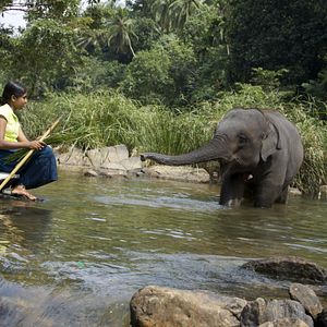 Bilder Chandani und ihr Elefant