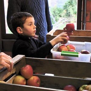 Bilder Good Food, Bad Food - Anleitung für eine bessere Landwirtschaft