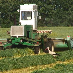Bilder Good Food, Bad Food - Anleitung für eine bessere Landwirtschaft