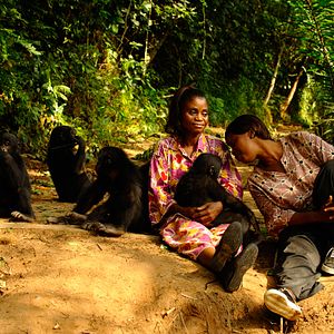 Bilder Benny - Allein im Wald