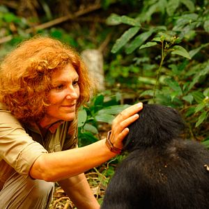 Bilder Claudine André