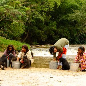 Bilder Benny - Allein im Wald