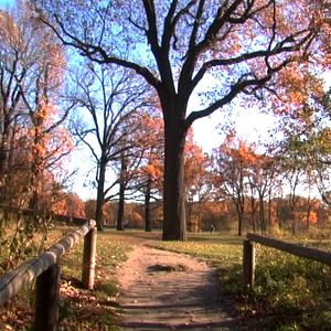 Bilder Berlin: Hasenheide