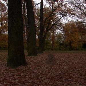 Bilder Berlin: Hasenheide