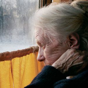 Bilder Die Frau mit den 5 Elefanten