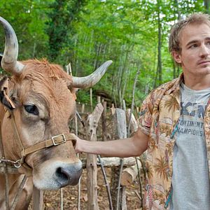 Bilder ¿Para qué sirve un oso?