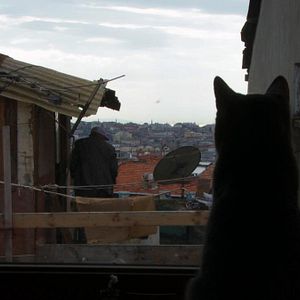 Bilder Wir sitzen im Süden